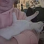 animal, casual, cat, comfort, cozy, cradling, domestic, furniture, home, hoodie, indoor, paw, person, pet, pink_hoodie, posters, relaxed, resting, room, white_cat