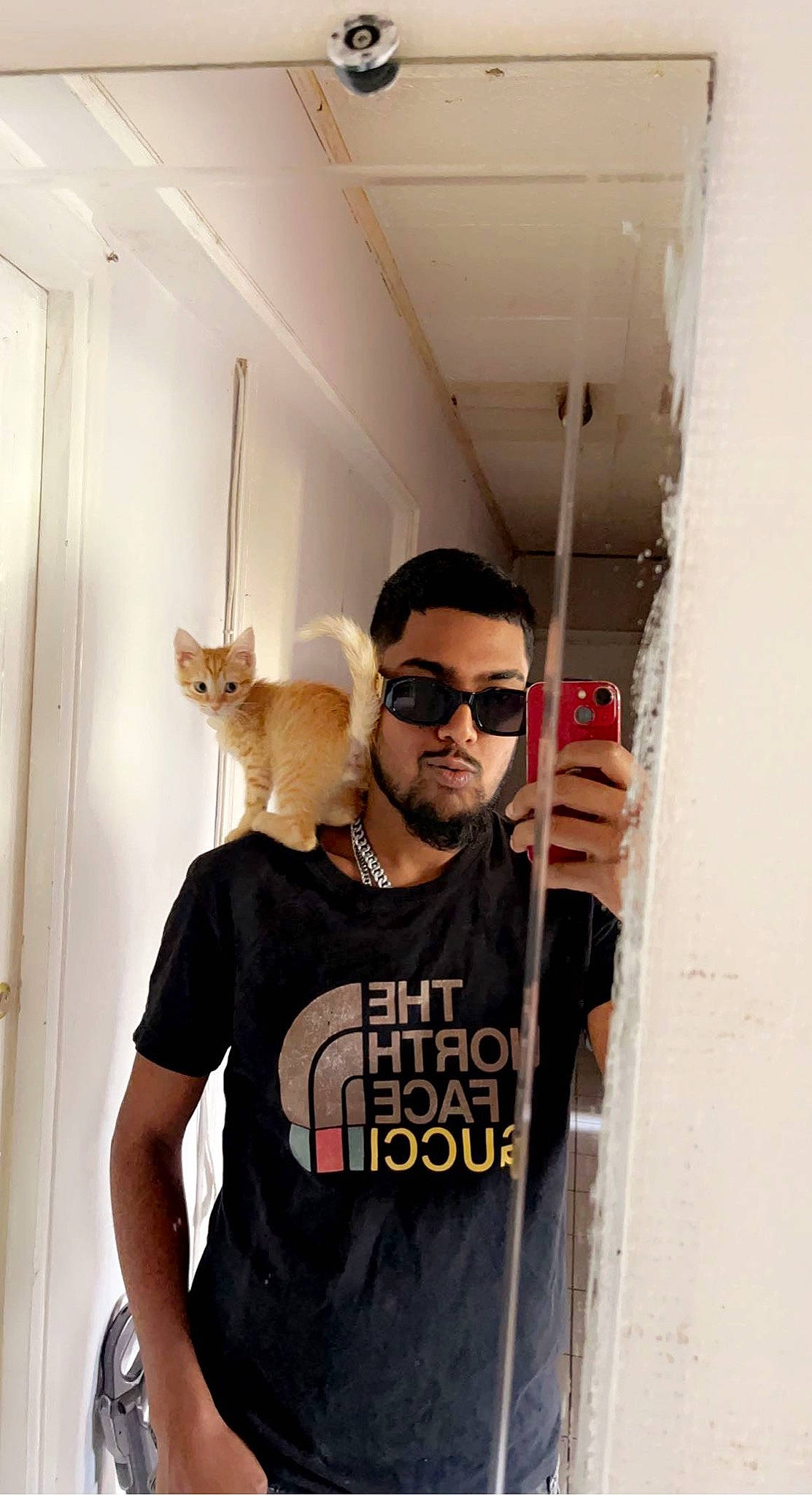 Taz participe au concours pour gagner de l'argent avec cette photo : active_shirt, beard, carnivore, cat, elbow, eyewear, facial_hair, fashion_design, felidae, font, fur, goggles, room, sleeve, small_to_medium_sized_cats, sunglasses, t_shirt, top, vision_care, whiskers