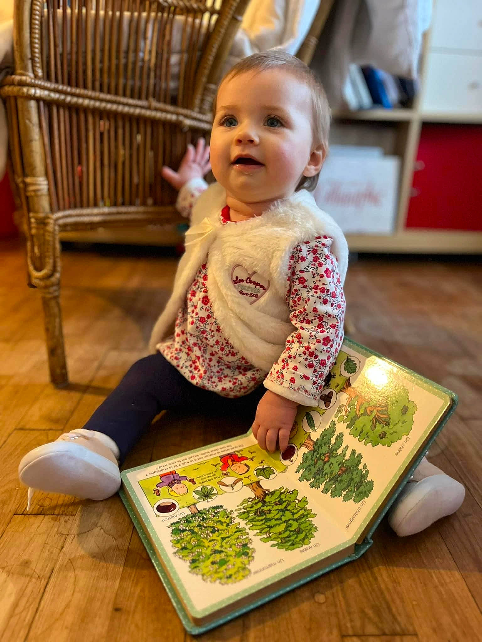 Naomie participe au concours pour gagner de l'argent avec cette photo : baby, baby_products, baby_safety, baby_toddler_clothing, bib, chair, child, flooring, fun, happy, hardwood, person, product, room, shelf, sitting, sleeve, smile, toddler, varnish