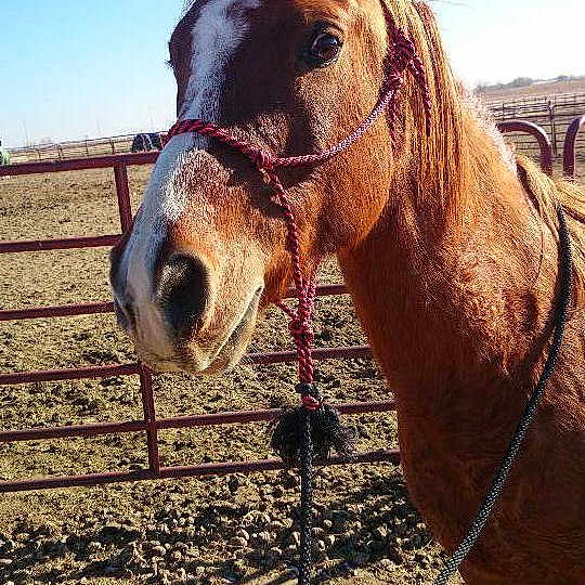 Kingsley is registered to the contest to win money with this photo: