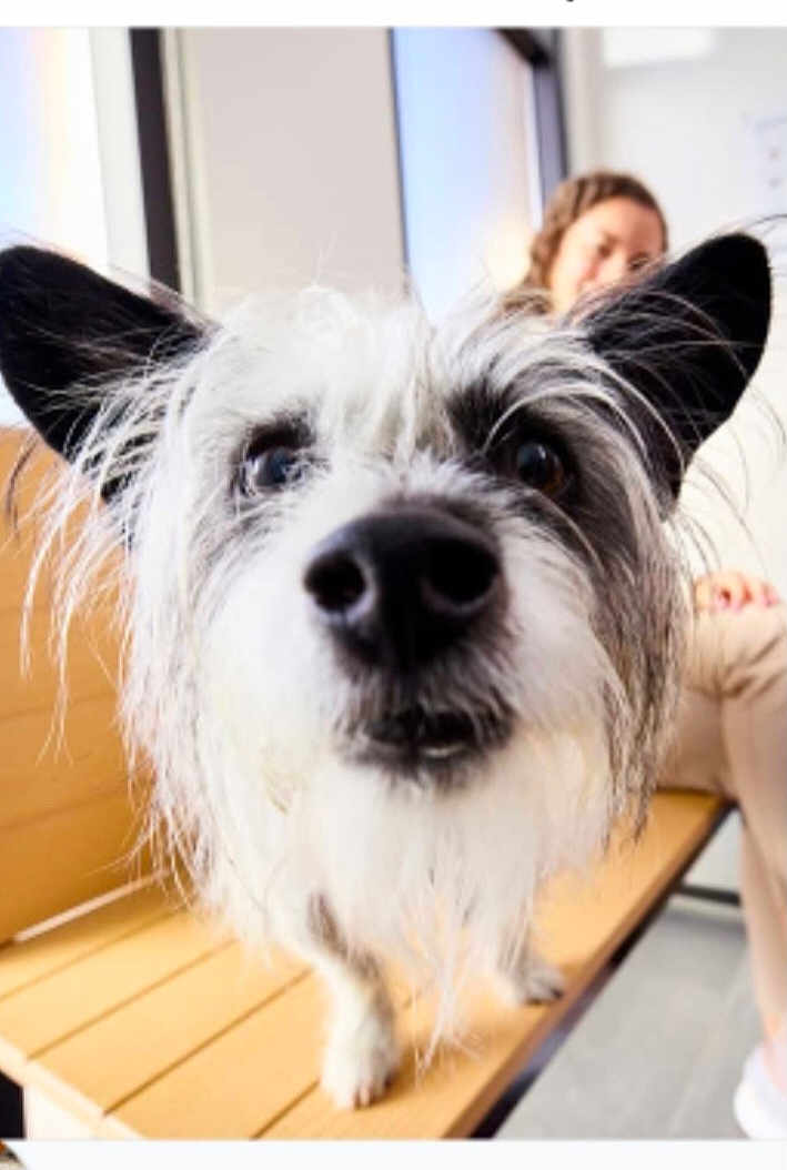 Maggie