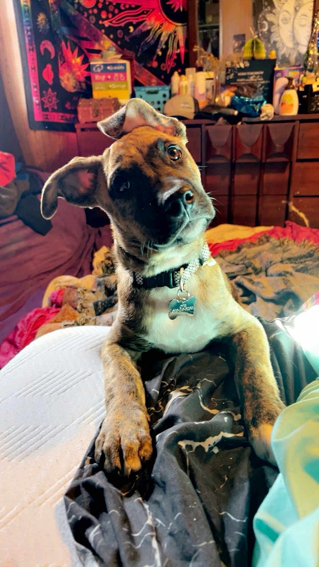 Opie
