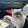 Meowlie Cyrus