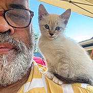 Ashley Harrison is registered to the contest to win money with this photo: man, beard, glasses, cat, kitten, shoulder, yellow_shirt, outdoor, sky, canopy, pet, closeup, portrait, animal, cute, furry, whiskers, face, casual, relaxing