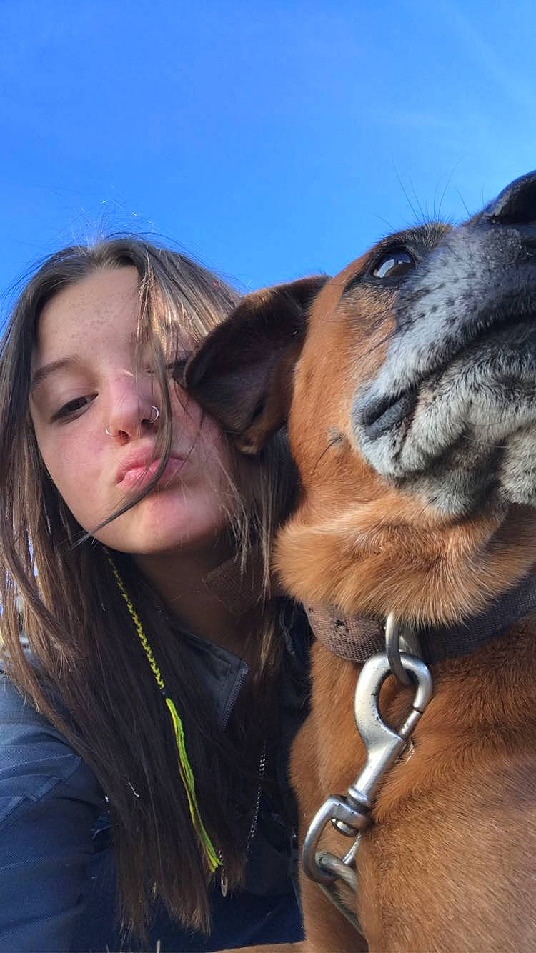 Grizzly is registered to the contest to win money with this photo: canidae, carnivore, collar, companion_dog, dog, dog_breed, dog_collar, eyewear, fawn, fur, happy, iris, leash, liver, sky, snout, sporting_group, sunglasses, whiskers, working_animal