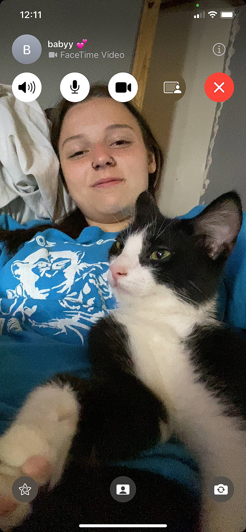 Zeus joined the competition — help win amazing prizes! carnivore, cat, domestic_short_haired_cat, fashion_accessory, felidae, font, formal_wear, fur, grass, happy, logo, photo_caption, portrait_photography, sleeve, small_to_medium_sized_cats, smile, t_shirt, tail, whiskers