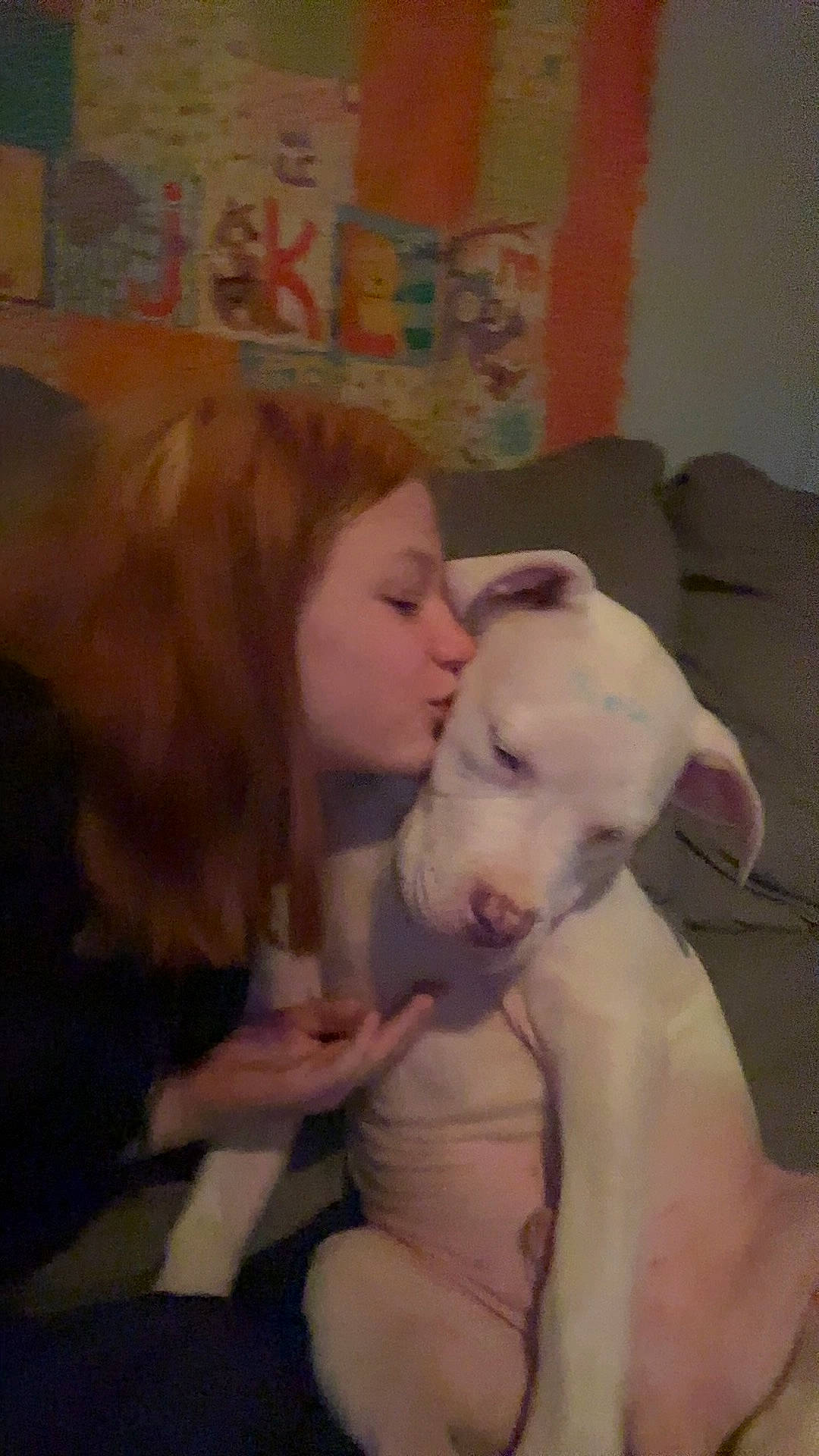 King is registered to the contest to win money with this photo: canidae, carnivore, child, comfort, companion_dog, dog, dog_breed, ear, fawn, fun, fur, gesture, happy, kiss, love, non_sporting_group, photo_caption, room, selfie, sporting_group