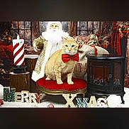 Simba a rejoint le concours — aidez-le/la à gagner de superbes lots ! cat, bow_tie, santa_figurine, christmas, holiday, decoration, candle, stool, sack, ornament, letters, merry_xmas, red_bow, plush, indoor, portrait, festive, cozy, pet, fireplace