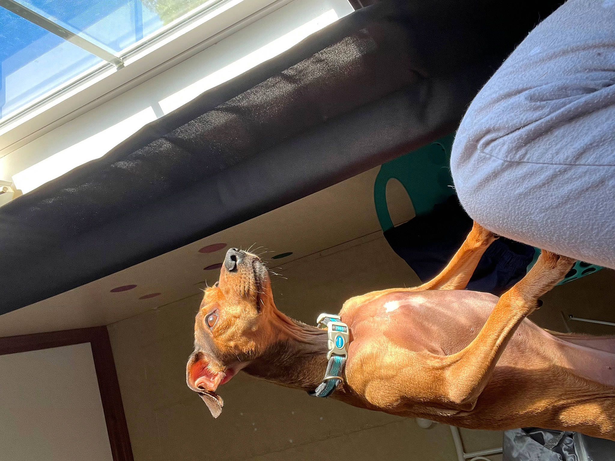 Axel is registered to the contest to win money with this photo: auto_part, automotive_window_part, elbow, flesh, foot, gesture, glove, human_leg, knee, meat, metal, sunglasses, thigh, thumb, tie, vehicle_door, windshield, wrist