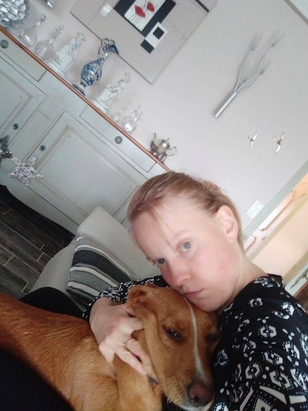 Diams a rejoint le concours — aidez-le/la à gagner de superbes lots ! canidae, carnivore, companion_dog, dog, dog_breed, fawn, fun, lurcher, person, puppy_love, selfie, sporting_group, whippet