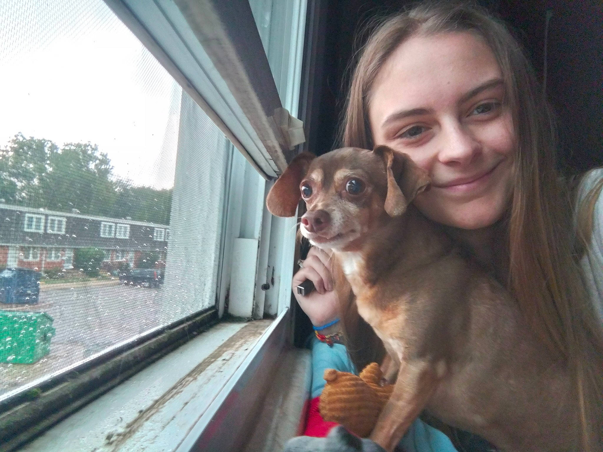 Dylan James is registered to the contest to win money with this photo: carnivore, chihuahua, companion_dog, dog, dog_breed, fawn, fun, fur, hand, happy, iris, sky, smile, snout, toy_dog, travel, tree, vehicle_door, windshield, working_animal