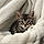 Arya