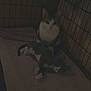 Mater is registered to the contest to win money with this photo: animal, blanket, cage, cat, cozy, domestic, ears, eyes, feline, floor, fur, indoor, kitten, pet, quiet, resting, shadow, two_animals, whiskers
