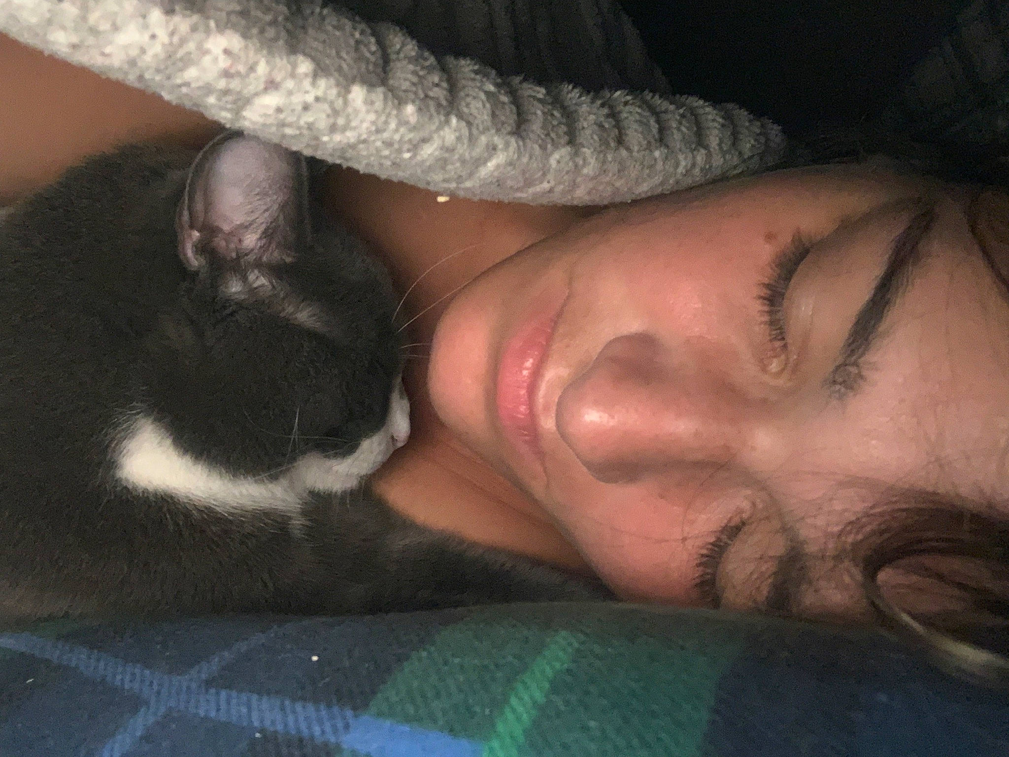 Little Miss Purrfect joined the competition — help win amazing prizes! black_hair, cat, ear, eye, face, fawn, felidae, hand, head, mouth, nap, nose, skin, sleep, small_to_medium_sized_cats, smile, whiskers