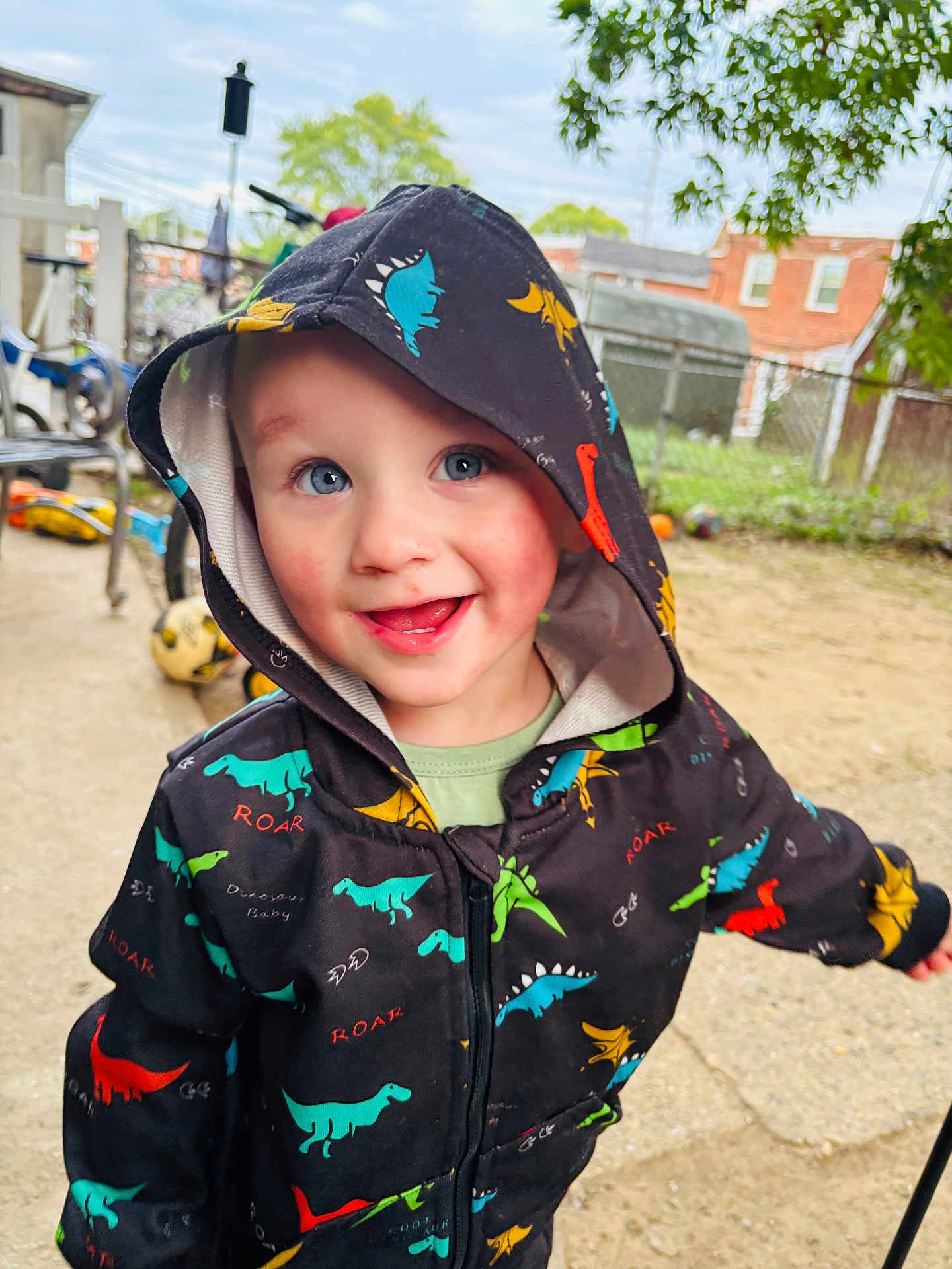Cru is registered to the contest to win money with this photo: toddler, child, hoodie, dinosaur_pattern, smiling, outdoor, playground, bicycle, ball, joyful, happy, face, clothing, hood, sky, tree, fence, ground, daylight, person