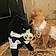 Teddy. Roxy.