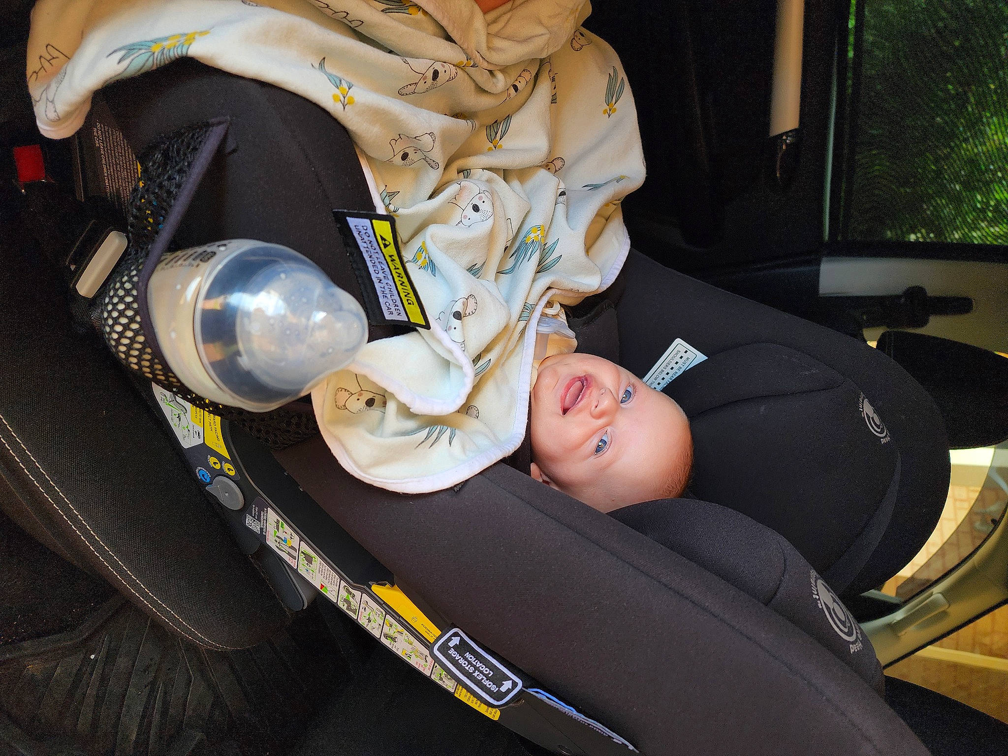 Jasper joined the competition — help win amazing prizes! auto_part, automotive_design, automotive_exterior, automotive_lighting, automotive_tire, automotive_wheel_system, baby, baby_carriage, baby_in_car_seat, baby_products, car_seat, comfort, human_leg, lap, motor_vehicle, person, plant, steering_wheel, vehicle, vehicle_door