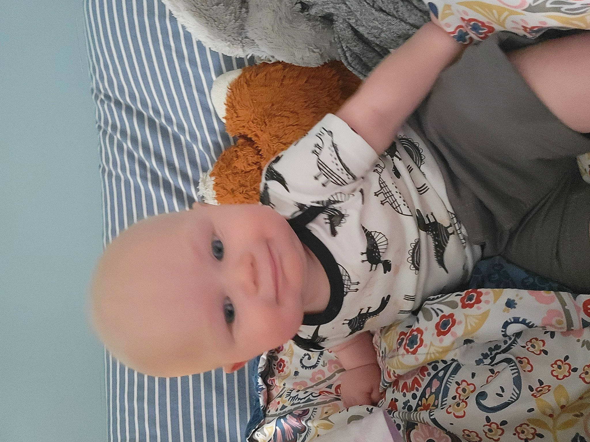 Hunter is registered to the contest to win money with this photo: baby, baby_toddler_clothing, child, comfort, elbow, eyelash, gesture, grass, happy, human_leg, linens, neck, pattern, person, plant, sitting, skin, sleeve, toddler, tree