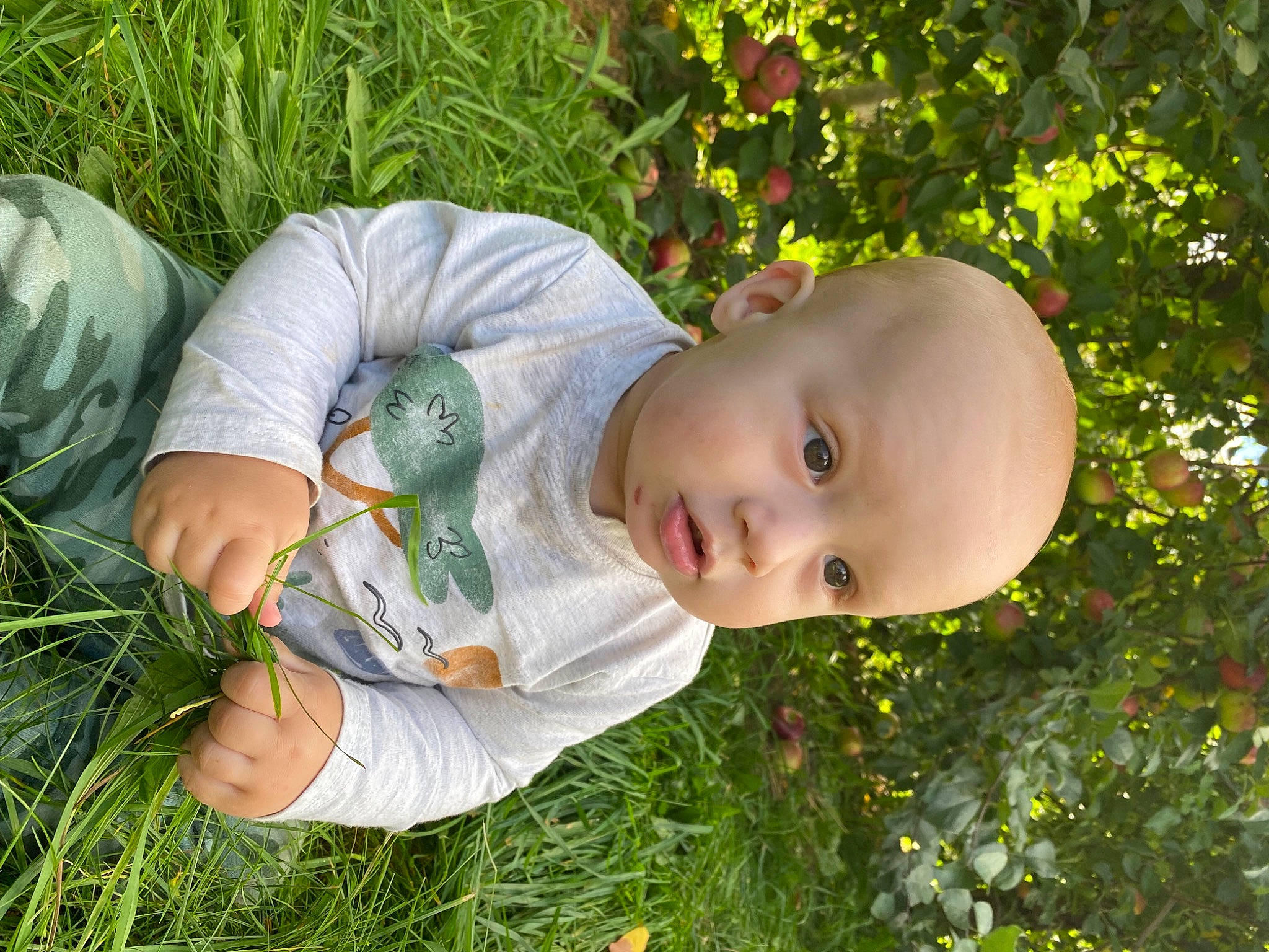 Jase is registered to the contest to win money with this photo: art, baby, baby_toddler_clothing, child, garden, grass, grass_family, grassland, happy, human_body, leisure, meadow, pattern, people_in_nature, person, plant, portrait_photography, shrub, sitting, toddler