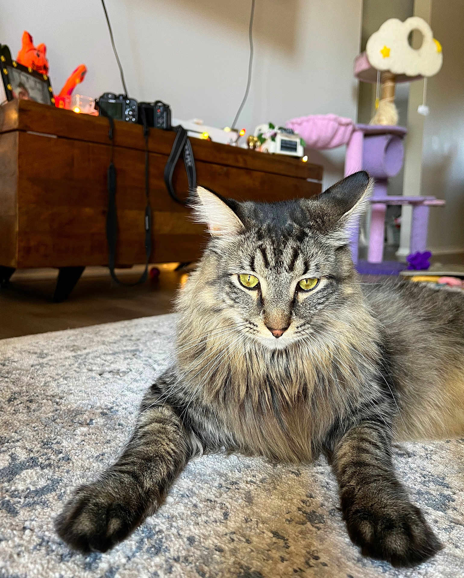 Seymour