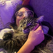 Seymour is registered to the contest to win money with this photo: person, cat, glasses, couch, blanket, hand, tabby_cat, indoor, relaxing, cozy, purple_light, face, furniture, long_hair, knitted_pillow, casual_clothing, whiskers, pet, comfort, close_up