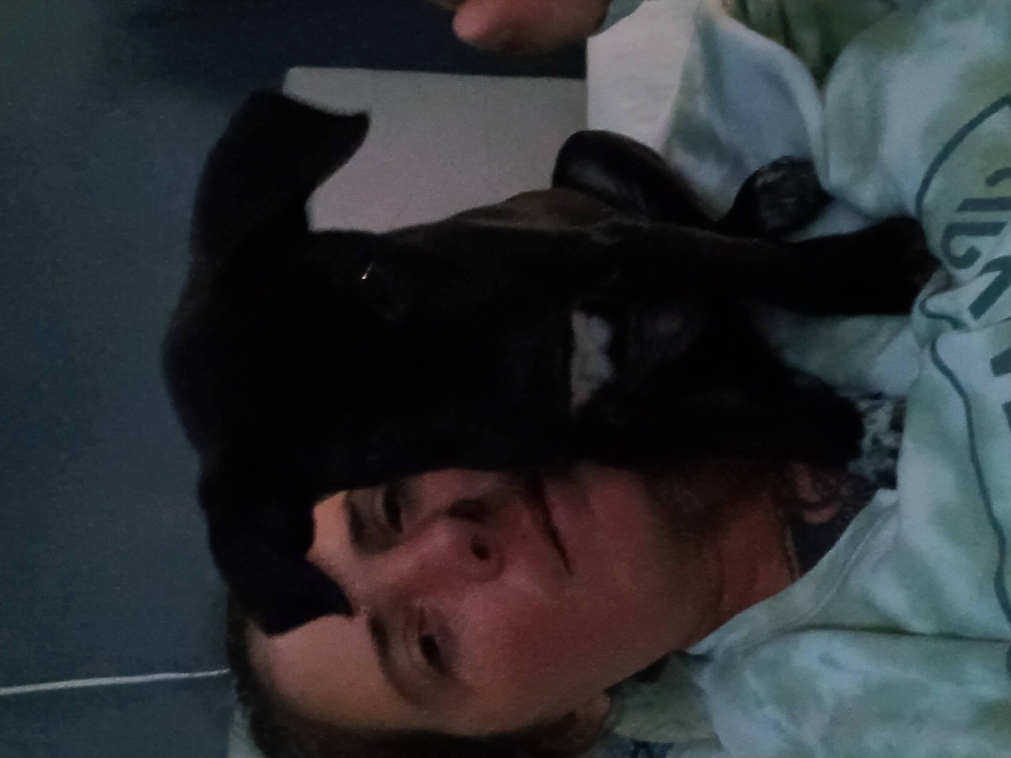 Storm is registered to the contest to win money with this photo: beard, black_hair, canidae, comfort, dog_breed, ear, eyebrow, eyelash, facial_hair, felidae, fun, fur, gesture, hair, head, linens, nose, small_to_medium_sized_cats, sporting_group, tree