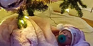 Xiyalize Royalty is registered to the contest to win money with this photo: baby, blanket, basket, christmas_tree, christmas_lights, ornaments, candy_canes, soft_toy, pacifier, holiday, festive, decorations, indoor, sleeping, warm, pink, greenery, cozy, holiday_season, infant