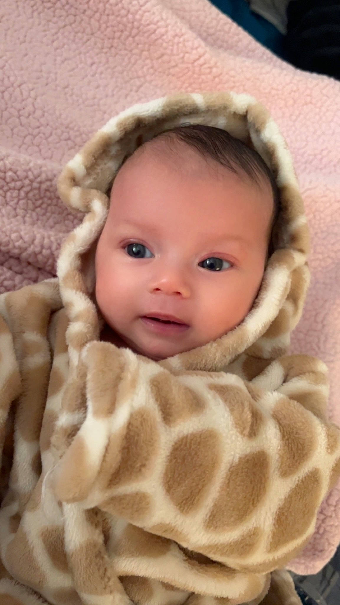 Milani is registered to the contest to win money with this photo: baby, baby_toddler_clothing, cheek, chin, comfort, eye, eyebrow, face, flash_photography, head, headgear, iris, linens, lip, nose, person, product, skin, sleeve, toddler