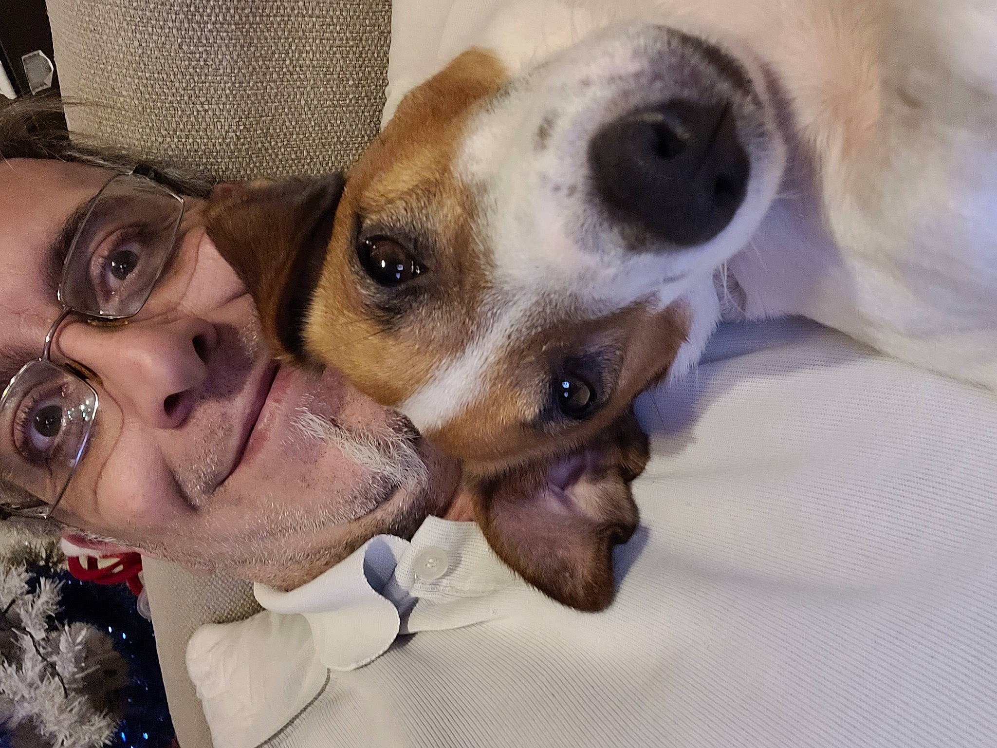 Mako participe au concours pour gagner de l'argent avec cette photo : canidae, carnivore, comfort, companion_dog, dog, dog_breed, dog_supply, ear, fawn, fur, happy, jaw, photography, puppy_love, selfie, smile, sporting_group, sunglasses, whiskers, working_animal