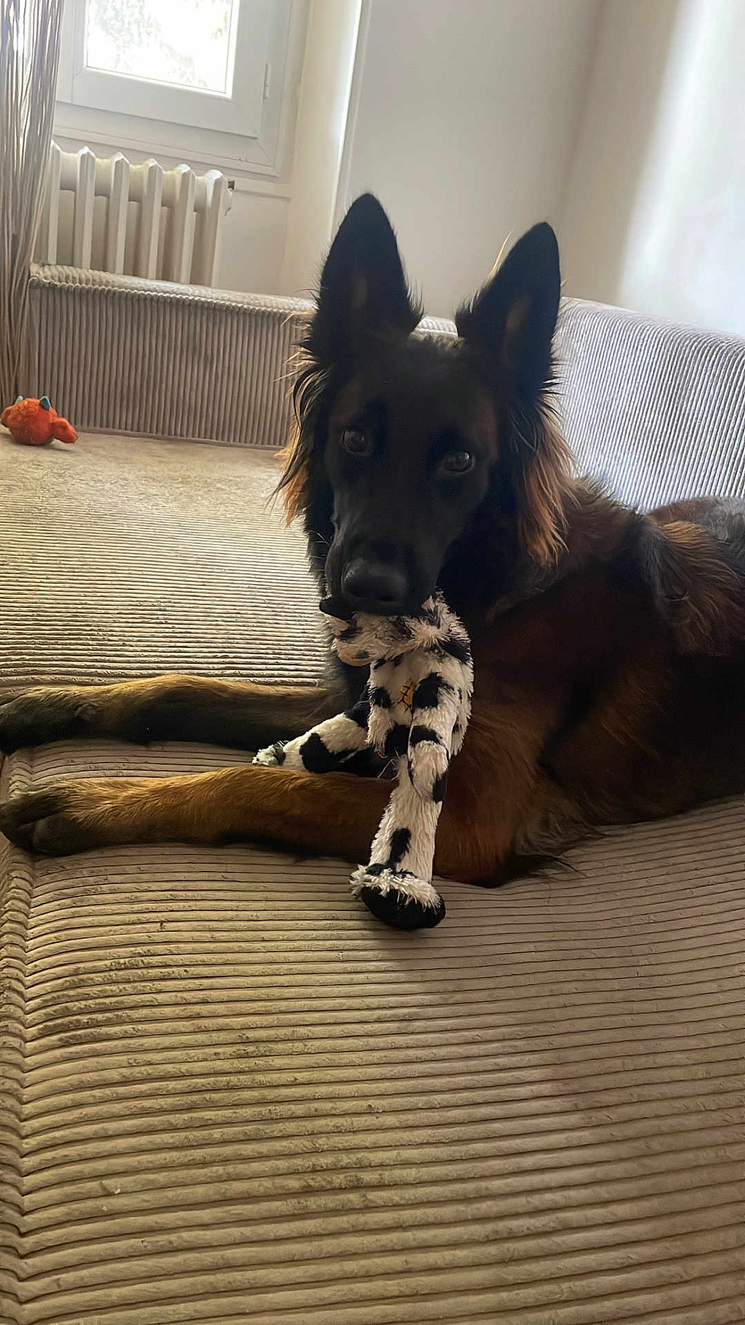 Tika