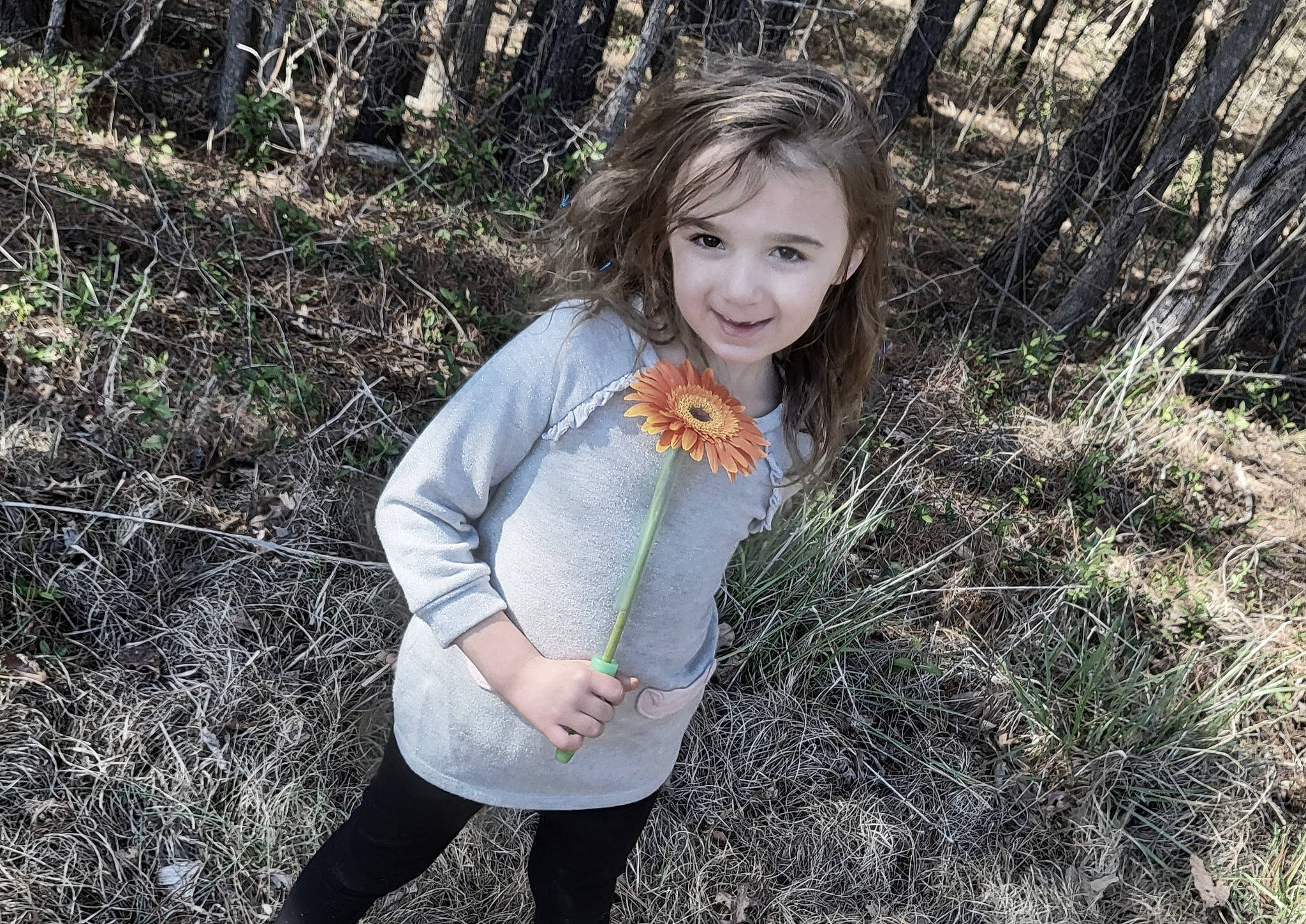 Cassie Flo is registered to the contest to win money with this photo: branch, fawn, flash_photography, forest, grass, grass_family, hair, hairstyle, happy, iris, joy, long_hair, natural_landscape, people_in_nature, person, plant, smile, t_shirt, tree, waist