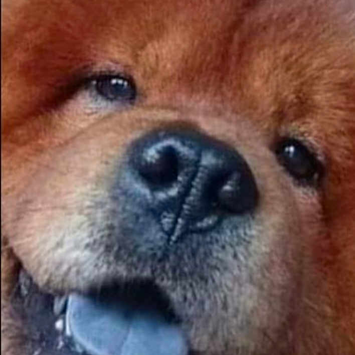 Kowu