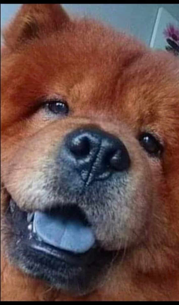 Kowu