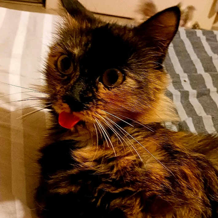 Louna