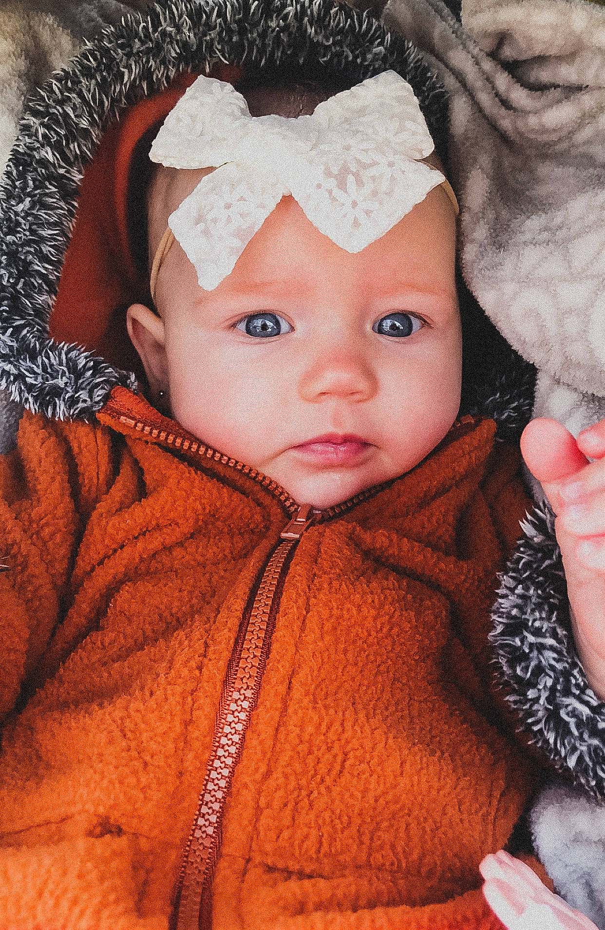 Charlee is registered to the contest to win money with this photo: baby, cheek, child, ear, eye, face, forehead, fur, head, headwear, iris, lip, nose, outerwear, person, pink, skin, smile, toddler