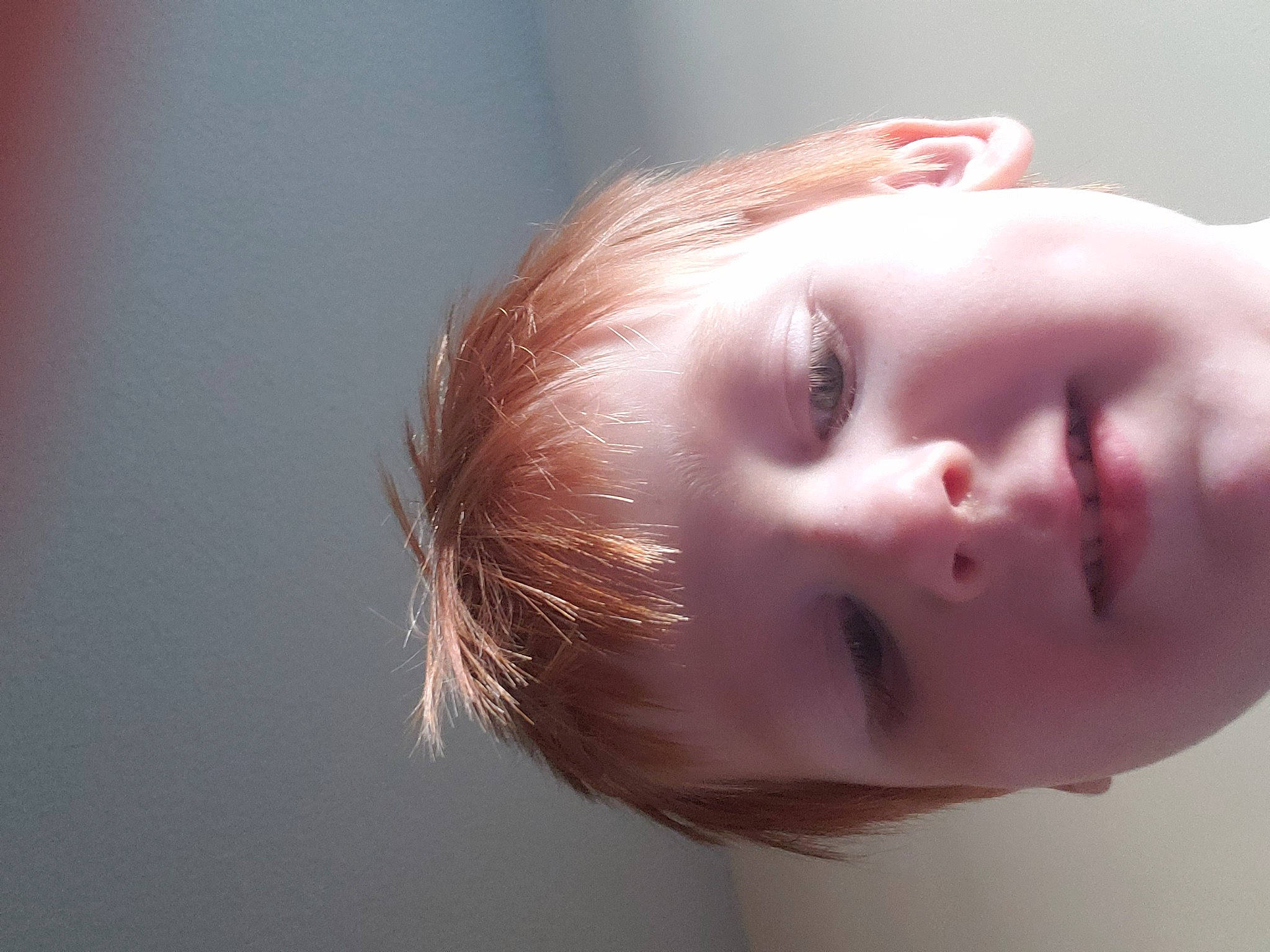 Douglas is registered to the contest to win money with this photo: cheek, dress, ear, eye, eyebrow, eyelash, flash_photography, forehead, hair, hand, head, headgear, human_body, iris, jaw, lip, neck, nose, person, plant