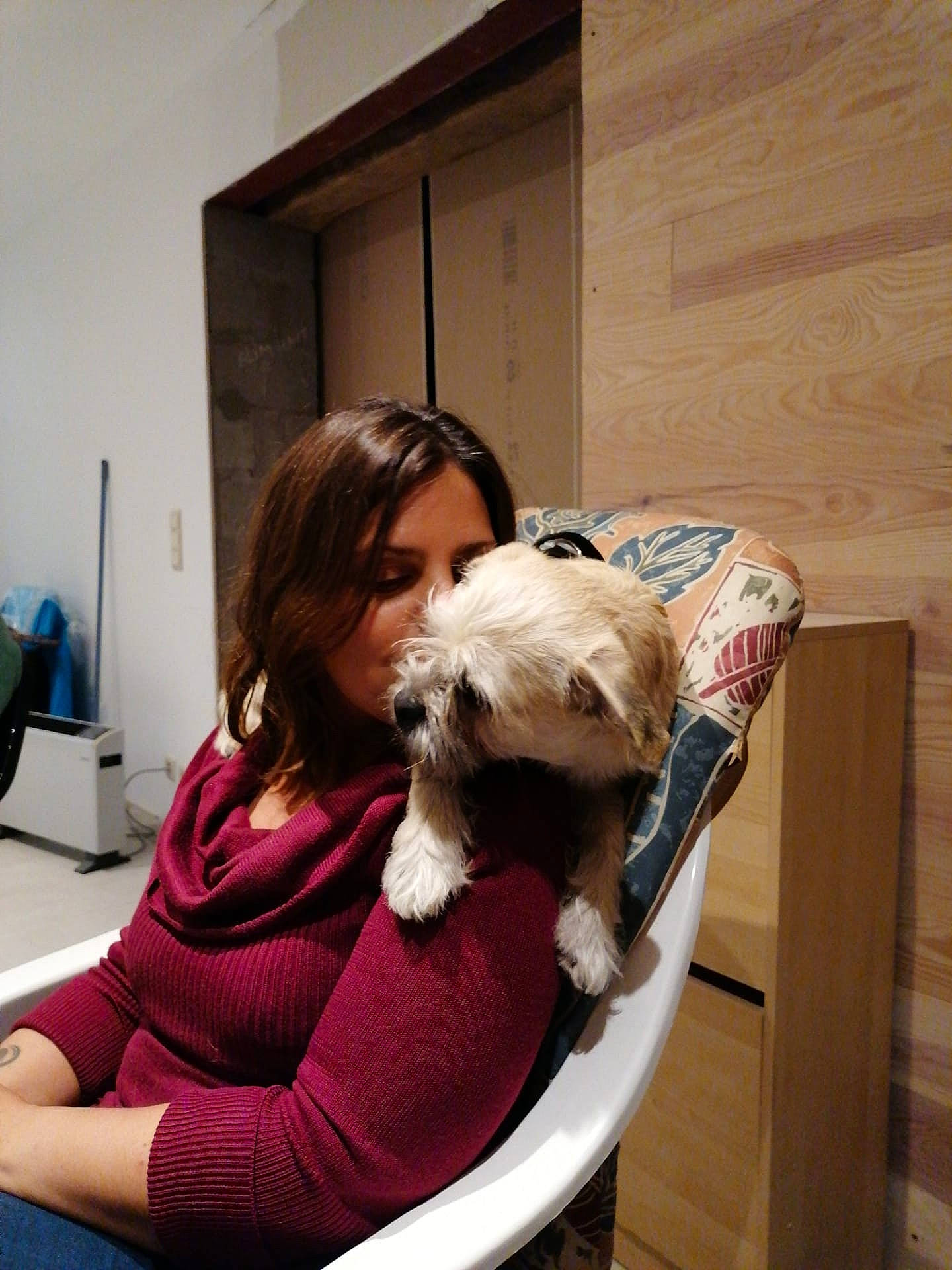 Bono a rejoint le concours — aidez-le/la à gagner de superbes lots ! biewer_terrier, canidae, carnivore, comfort, companion_dog, dog, dog_breed, dog_supply, fur, hardwood, maltepoo, pet_supply, puppy, puppy_love, small_terrier, terrier, toy_dog, wood, wood_stain, working_animal