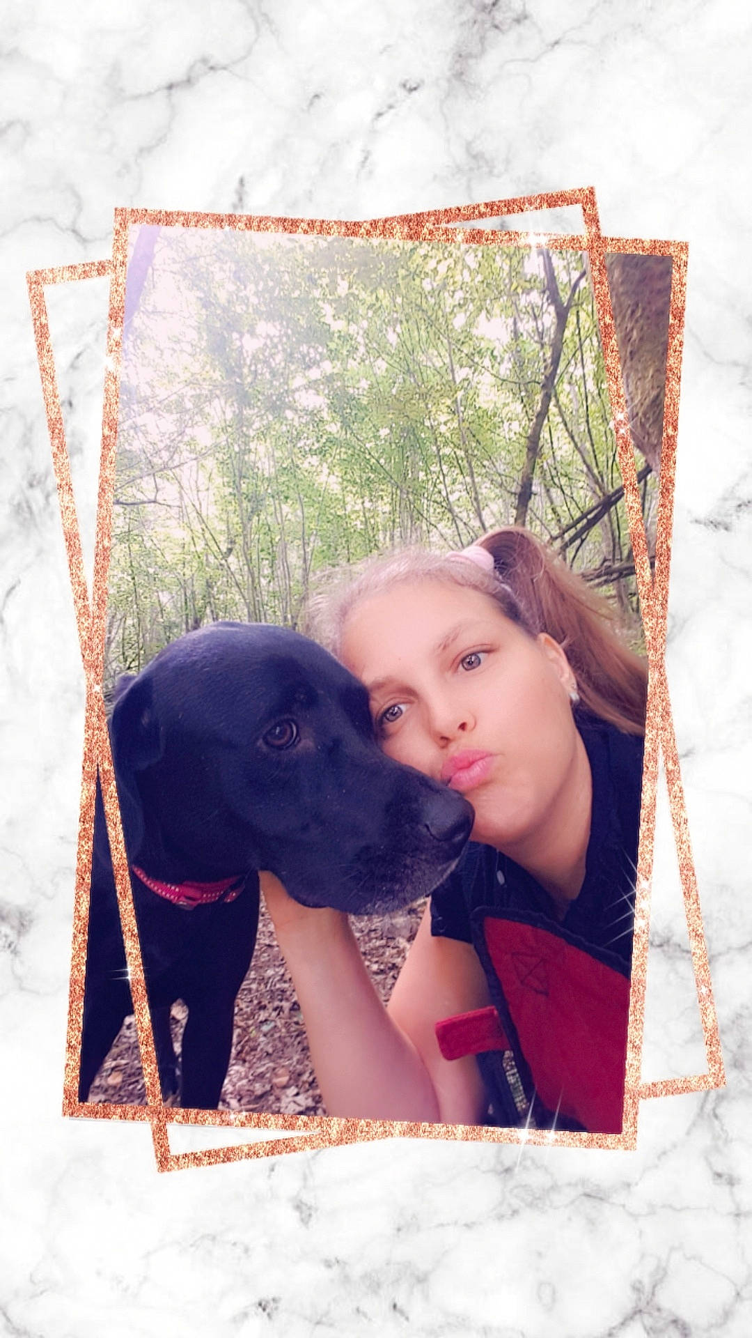 Ouchka a rejoint le concours — aidez-le/la à gagner de superbes lots ! canidae, carnivore, dog, dog_breed, guard_dog, hunting_dog, labrador_retriever, sporting_group