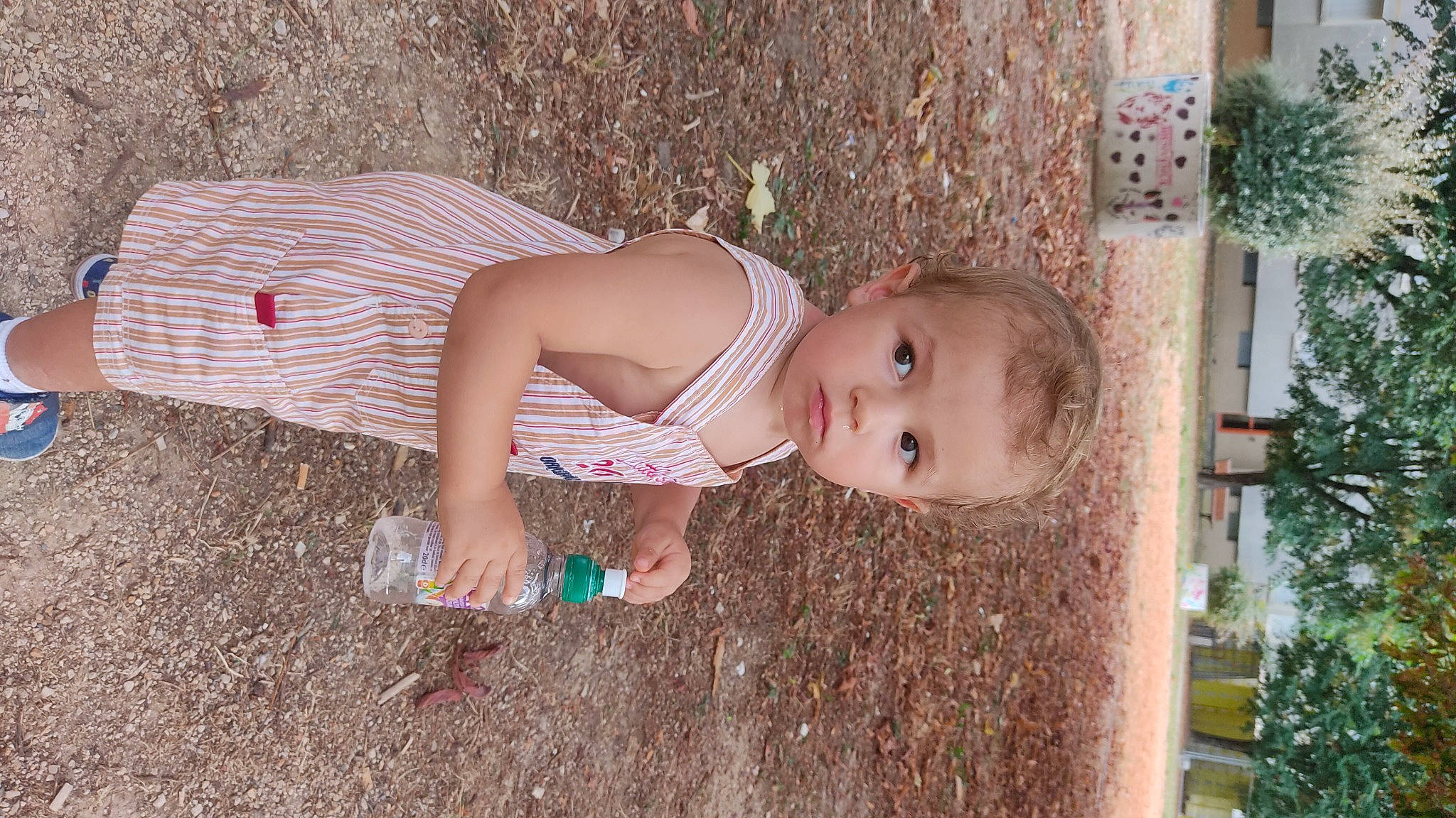 Ewen participe au concours pour gagner de l'argent avec cette photo : baby, baby_toddler_clothing, cheek, chest, child, eye, fawn, fun, grass, grass_family, human_body, pattern, people_in_nature, person, plant, sitting, skin, smile, toddler, tree