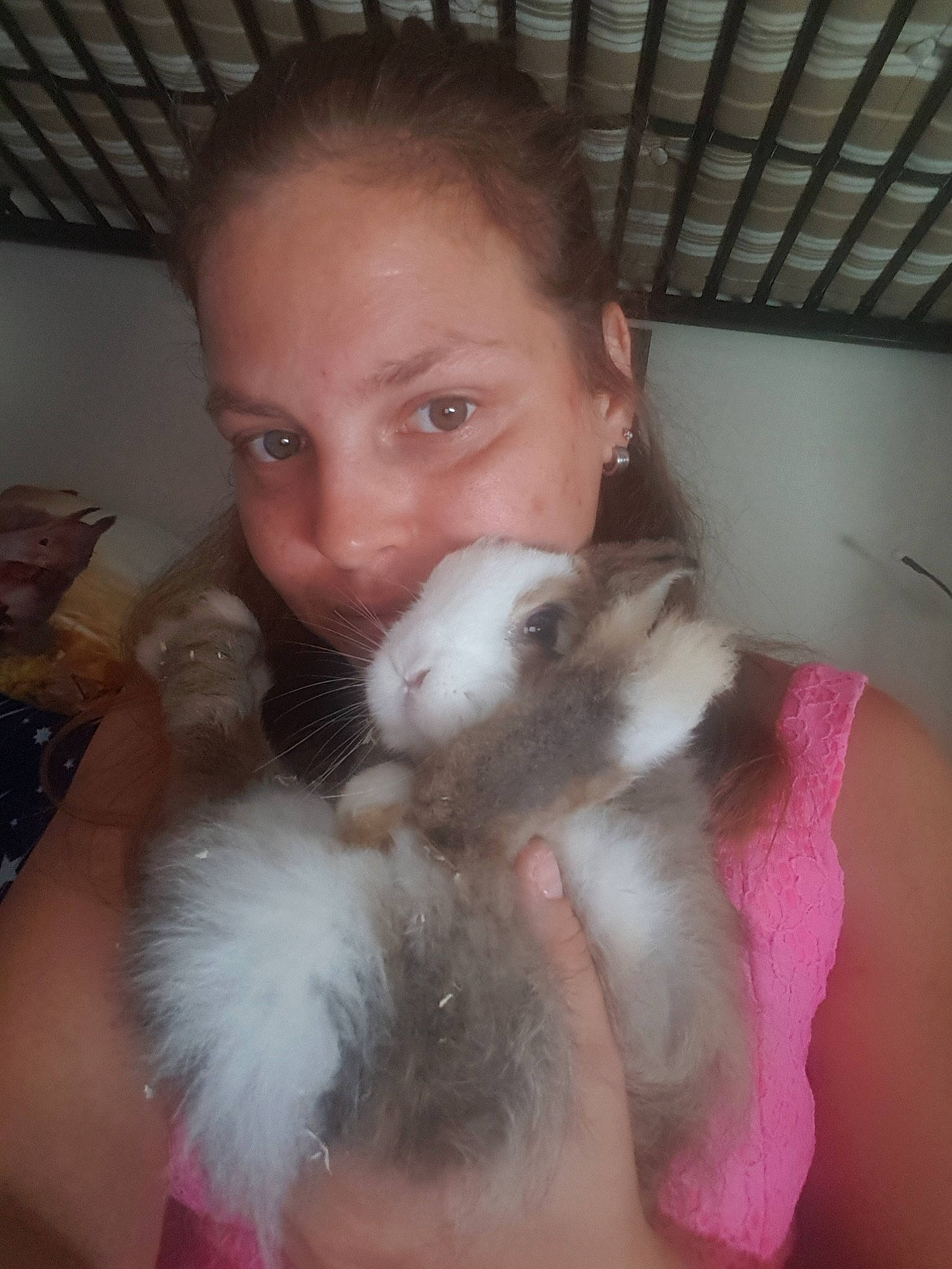 Elfi participe au concours pour gagner de l'argent avec cette photo : cat, ear, fawn, felidae, fur, nose, small_to_medium_sized_cats, whiskers