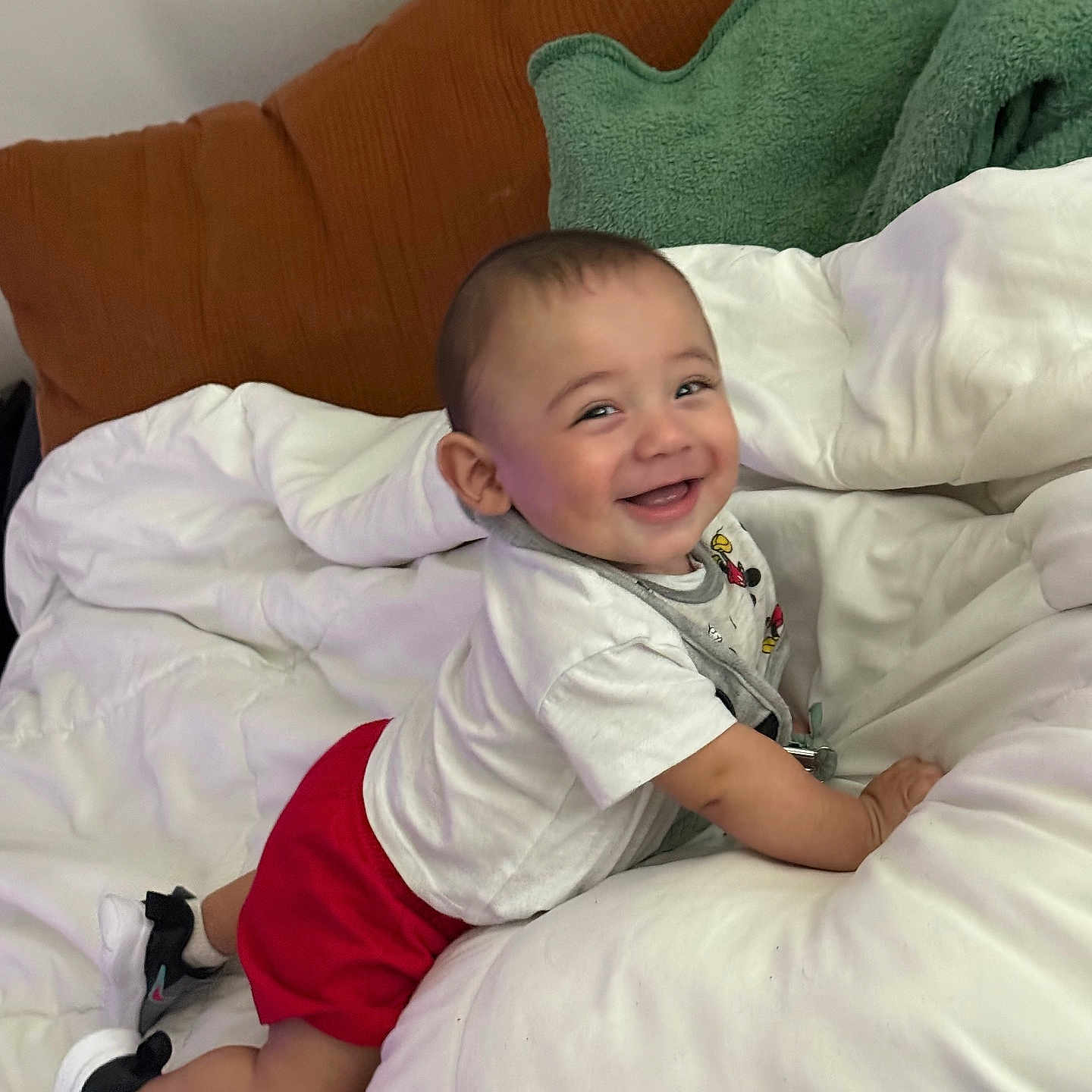 Weston Jo Lane joined the competition — help win amazing prizes! baby, smiling, crawling, white_shirt, red_shorts, sneakers, pillow, blanket, bed, comforter, indoor, happy, child, person, cute, infant, clothing, head, face, home