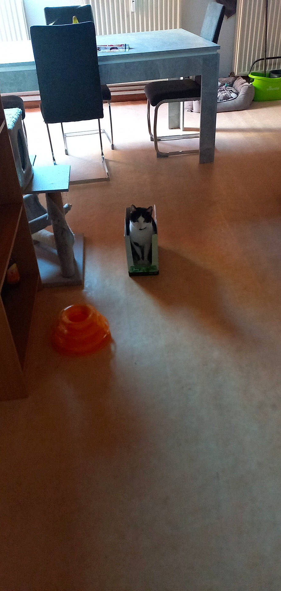 Erza participe au concours pour gagner de l'argent avec cette photo : armrest, audio_equipment, carpet, chair, comfort, floor, flooring, hardwood, laminate_flooring, plywood, rectangle, room, tile, varnish, wood, wood_flooring, wood_stain