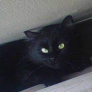 Salem joined the competition — help win amazing prizes!