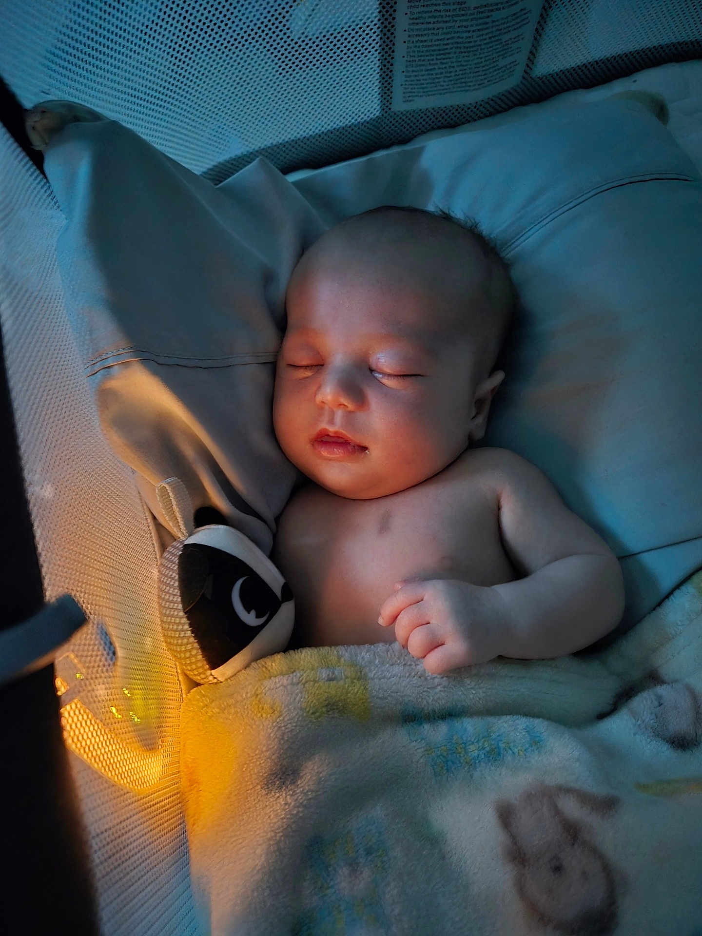 Toby joined the competition — help win amazing prizes! baby, sleeping, blanket, crib, soft_toys, pillow, infant, indoors, peaceful, cute, child, resting, cozy, warm_light, mesh_sides, newborn, portrait, comfort, calm, bedtime