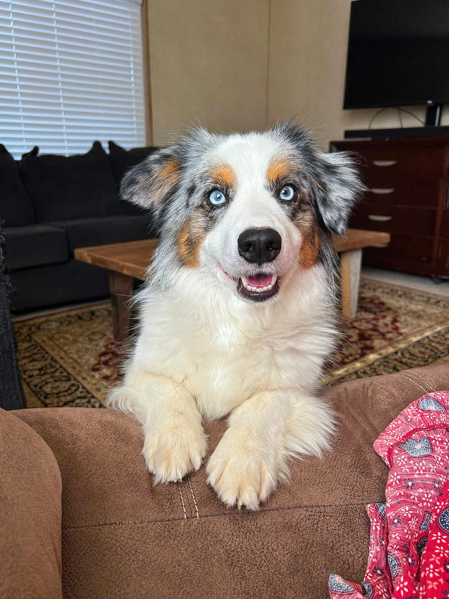 Cooper