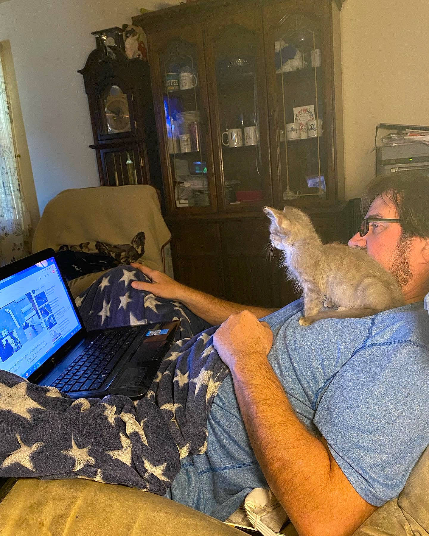 Angel is registered to the contest to win money with this photo: carnivore, cat, comfort, computer, computer_keyboard, couch, domestic_short_haired_cat, felidae, fur, gadget, lap, laptop, netbook, personal_computer, remote_control, room, sitting, small_to_medium_sized_cats, t_shirt, whiskers