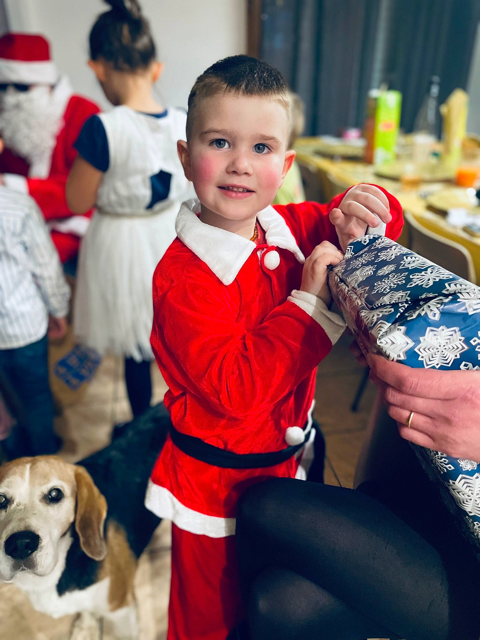 Luc a rejoint le concours — aidez-le/la à gagner de superbes lots ! blue, carnivore, chair, child, companion_dog, dog, event, formal_wear, fun, happy, holiday, joy, lap, person, room, shoe, skin, smile, snapshot, standing