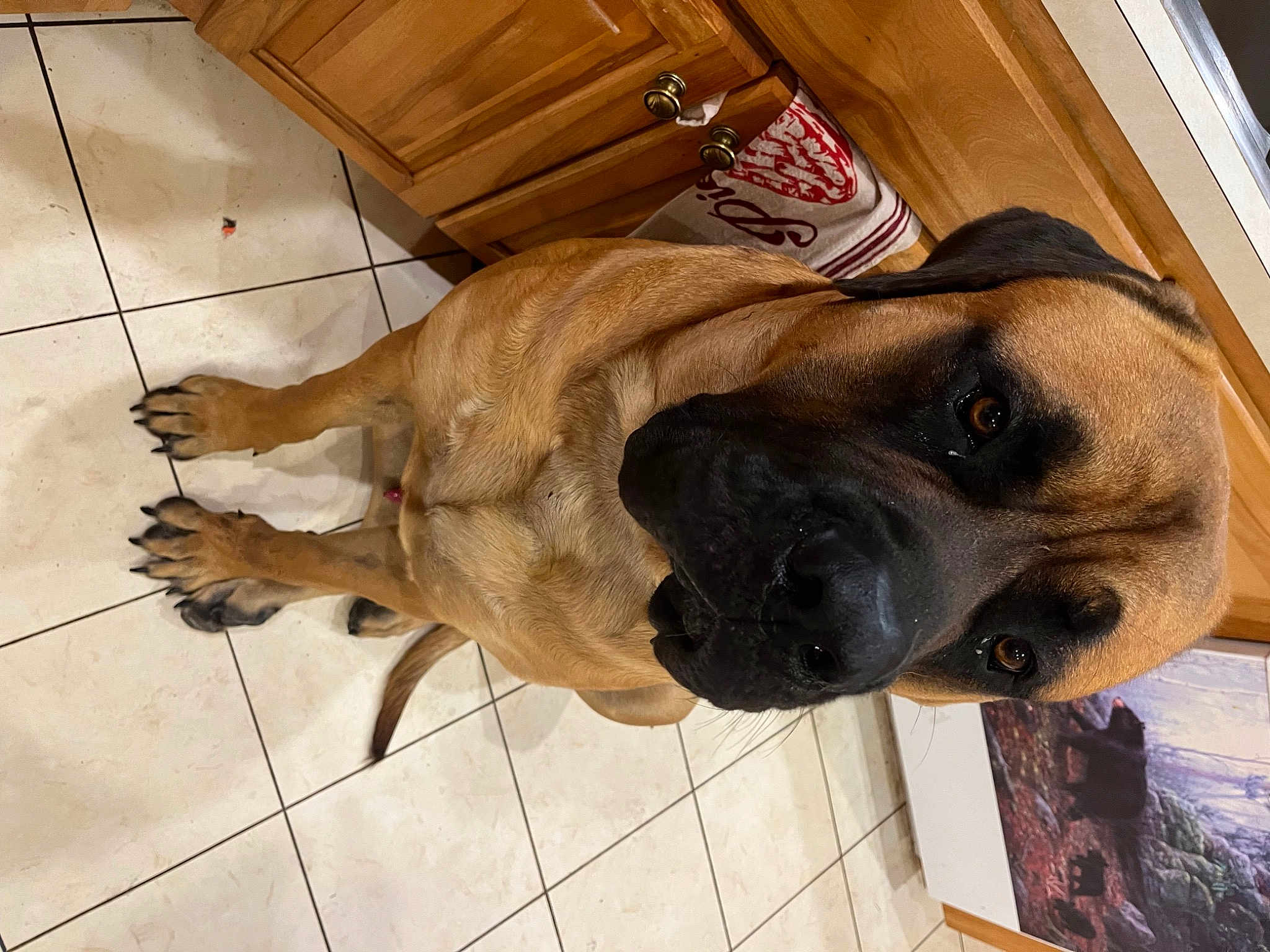 Dillon