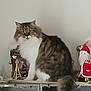 Olympe a rejoint le concours — aidez-le/la à gagner de superbes lots ! animal, cat, curious, cute, decoration, domestic_cat, fluffy, fur, furniture, furry, holiday, household, indoor, miniature_eiffel_tower, pet, santa_claus, shelf, sitting, tabby, white_fur
