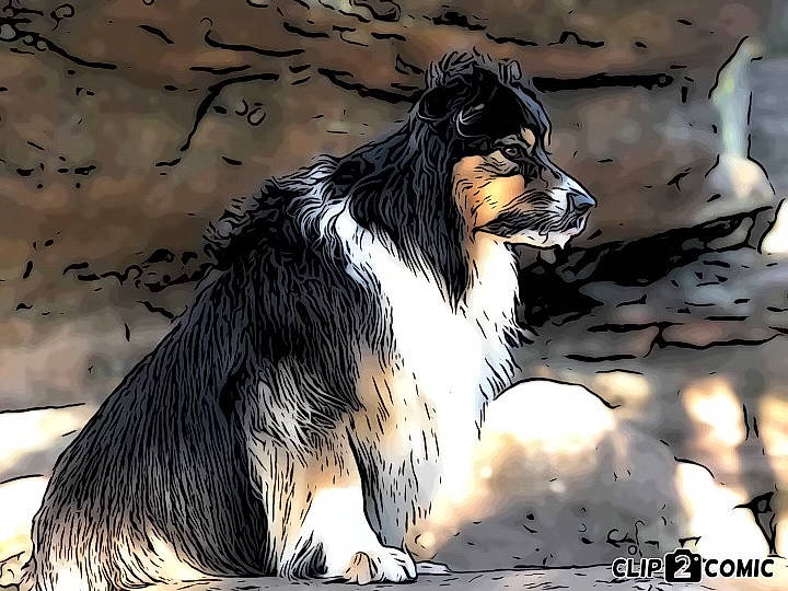 Julia a rejoint le concours — aidez-le/la à gagner de superbes lots ! art, canidae, carnivore, collie, companion_dog, dog, dog_breed, drawing, felidae, fur, herding_dog, illustration, painting, rough_collie, scotch_collie, shetland_sheepdog, snout, sporting_group, terrestrial_animal, whiskers
